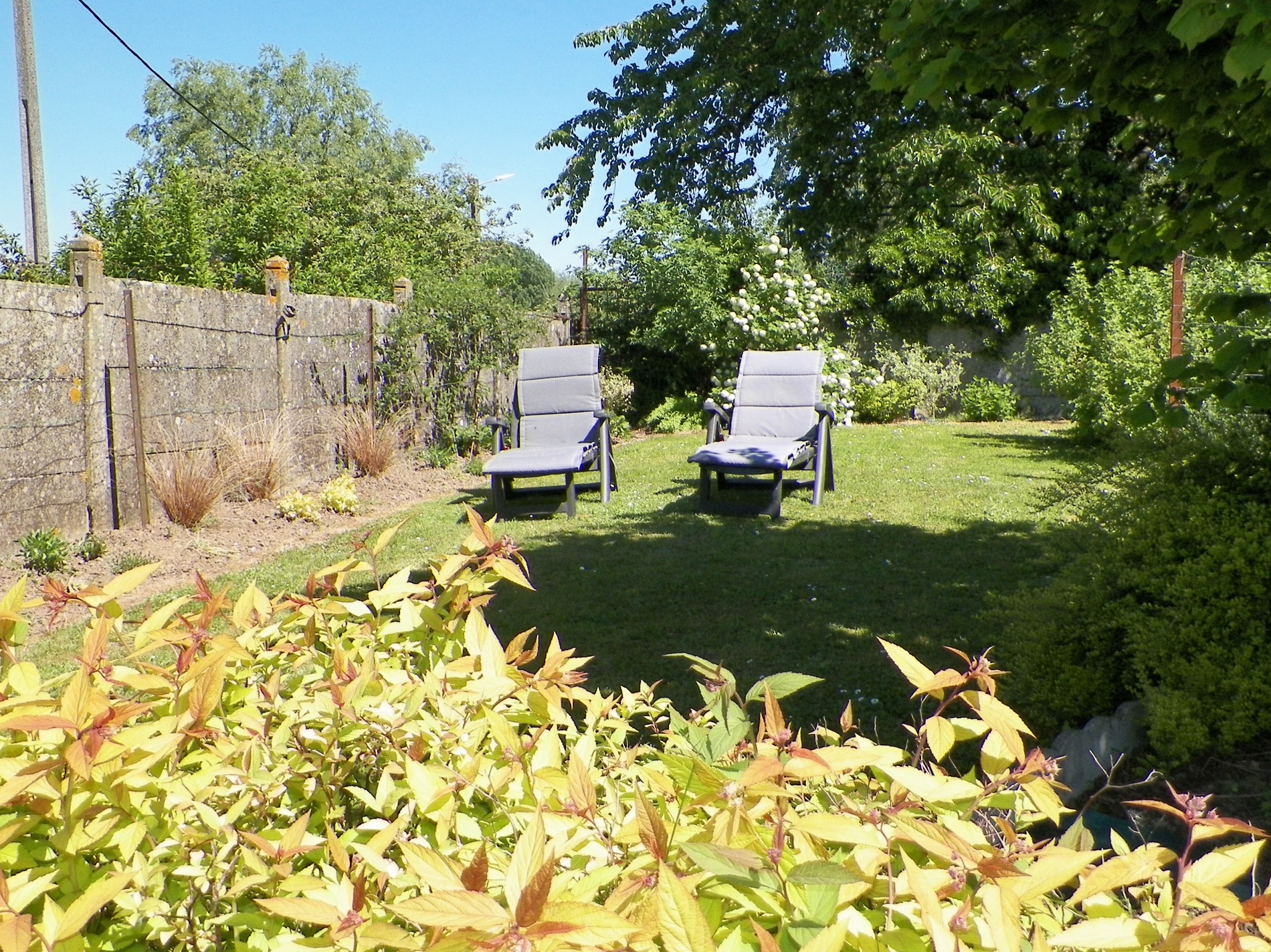 Jardin au début de l'été à Maresches