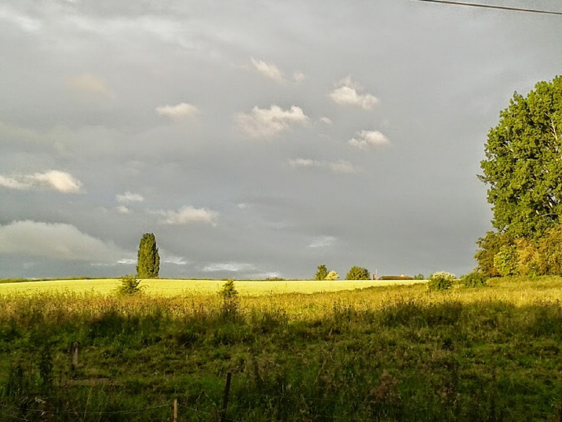 Prairies face au gîte à Maresches